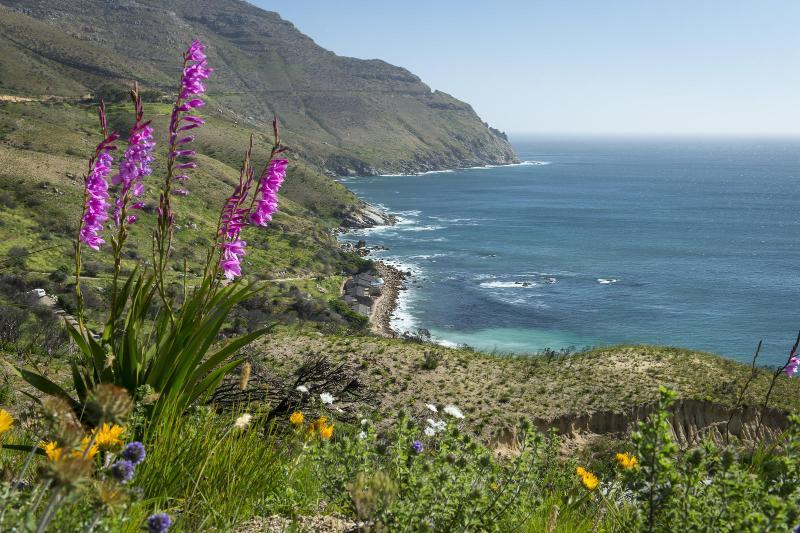 Tintswalo Atlantic Villa Hout Bay Eksteriør bilde